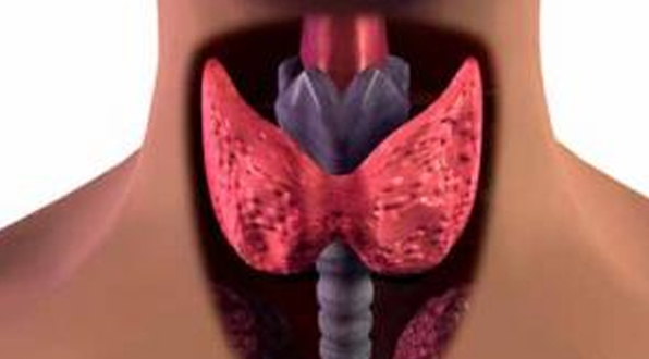 ARTICLE: WHAT ARE THE MOST COMMON THYROID DISORDERS?